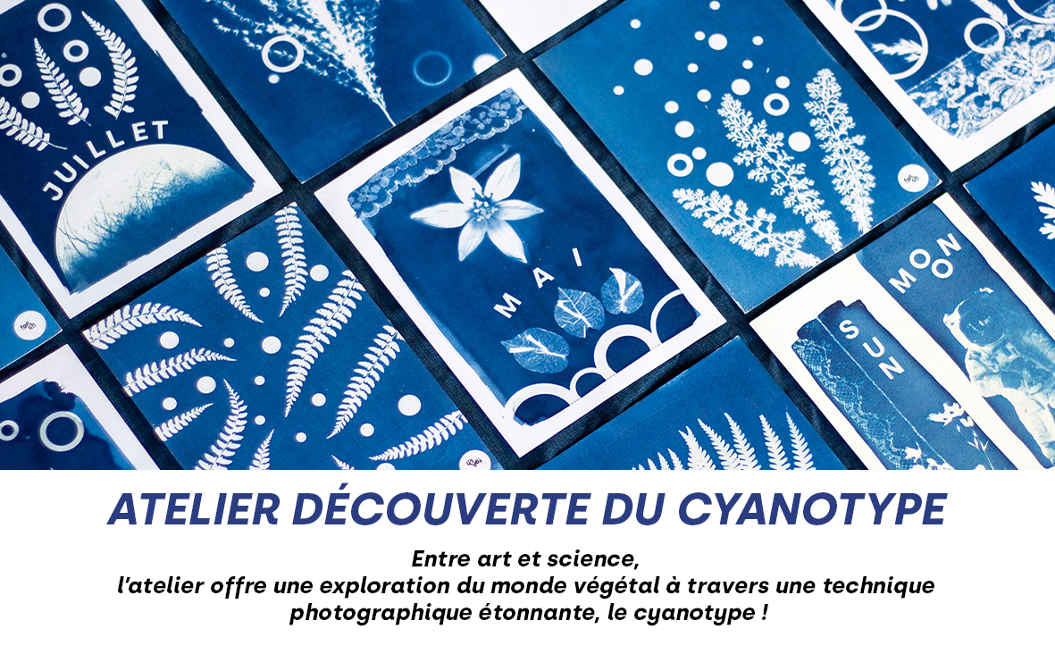 Cyanotype rezé graphiste nantes fanch lepage